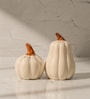 Set of 2  Pump & Plume Handcrafted Ceramic Salt & Pepper