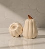 Set of 2  Pump & Plume Handcrafted Ceramic Salt & Pepper