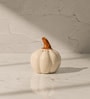Set of 2  Pump & Plume Handcrafted Ceramic Salt & Pepper