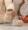 Set of 2  Pump & Plume Handcrafted Ceramic Salt & Pepper