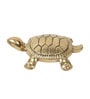 Golden Pure Brass Feng Shui Tortoise for Wealth & Prosperity