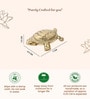 Golden Pure Brass Feng Shui Tortoise for Wealth & Prosperity