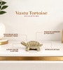Golden Pure Brass Feng Shui Tortoise for Wealth & Prosperity