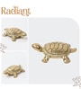 Golden Pure Brass Feng Shui Tortoise for Wealth & Prosperity