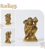 Golden Pure Brass Hanuman Ji Idol