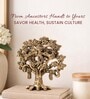 Golden Pure Brass Tree of Life Kalpavriksha Idol