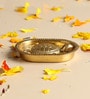 Golden Pure Brass Vastu Tortoise with Brass Plate