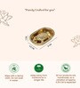 Golden Pure Brass Vastu Tortoise with Brass Plate