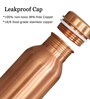 Pure 750ml Gold Copper Bottle