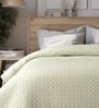 Green 690 GSM Cotton Double Bed Comforter