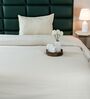Beige Diamond Pattern Single Bedspread With 1 Pillow Cover