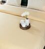 Yellow Diamond Pattern Queen sized Bedspread With 2 Pillow Covers