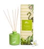 Pure Jasmine Ceramic Diffuser (Green)