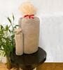 Purple & Cream Polyester 150 GSM AC Room Double Bed Quilt and 2 Pillow Sham