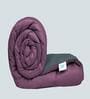 Purple And Grey Microfiber Solid Reversible 150 GSM Double Bed Comforter