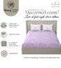 Purple & White Glace Cotton Floral Print Elastic Fitted King Bedsheet With 2 Pillow Covers