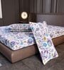 Purple Blue Floral 144 Tc Cotton King Bedsheet With 2 Pillowcovers