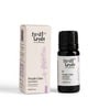 Purple Calm Lavender Pure Essential