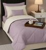Purple Cotton 210TC Solid Plain All Weather Single 150GSM Reversible Comforter