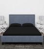 Black Cotton Solid Finest 300TC Plain Super King Bedsheet with 2 Pillow Covers