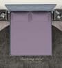 Purple Cotton Solid Finest 300TC Plain Super King Bedsheet with 2 Pillow Covers