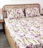 Purple Floral 180 TC Cotton 1 King Bedsheet with 2 Pillow Covers