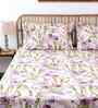 Purple Floral 180 TC Cotton 1 King Bedsheet with 2 Pillow Covers