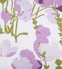 Purple Floral 180 TC Cotton 1 King Bedsheet with 2 Pillow Covers