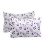 Purple Floral 180 TC Cotton King Sized Double Bedsheet with 2 Pillow Covers