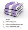 Purple Stripes 210 GSM 100% Cotton Bath Towel (Set of 3)