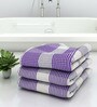 Purple Stripes 210 GSM 100% Cotton Bath Towel (Set of 3)