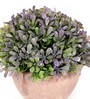 Purple Plastic Artificial Bonsai Plant with Pot