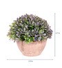 Purple Plastic Artificial Bonsai Plant with Pot