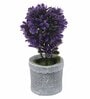 Polyester Purple Bonsai With Grey Resin Pot Artificial Plants
