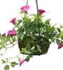 Purple Polyester Artificial Morning Glory Hanging Creeper Plant with Hanging Metal Stand