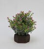 Purple Polyester Bahubali Leaves And Small Flowers Artificial Plant With Wooden Pot