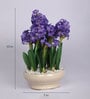 Purple Flower Bunch & White Pebbles Artificial Plant with Ceramic Pot