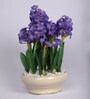 Purple Flower Bunch & White Pebbles Artificial Plant with Ceramic Pot