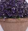 Purple & Green Artificial Topiary with Pot