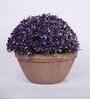 Purple & Green Artificial Topiary with Pot