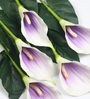 Purple Polyurethane Real Touch Callalily Artificial Flowers