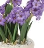 Purple Pvc Hyacinth Artificial Bonsai With Off- White Ceramic Pot
