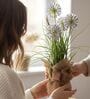 Purple Silk Plastic And Jute Faux Allium Flower Bunch With Jute Wrap