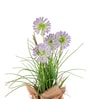 Purple Silk Plastic And Jute Faux Allium Flower Bunch With Jute Wrap