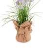 Purple Silk Plastic And Jute Faux Allium Flower Bunch With Jute Wrap