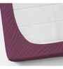 Purple Solid 144 TC Cotton King Fitted Bedsheet Bedsheet 2 Pillow Shades Collection