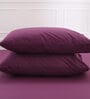 Purple Solid 200TC Cotton 20 x 30 Inches Pillow Covers (Set of 2)