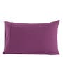 Purple Solid 200TC Cotton 20 x 30 Inches Pillow Covers (Set of 2)