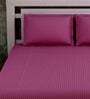 Purple Stripes 280 TC Cotton King Sized Bed Sheets with 2 Pillow Covers