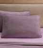 Purple Solid 325 TC Cotton Polyester 2 Pillow Sham Set